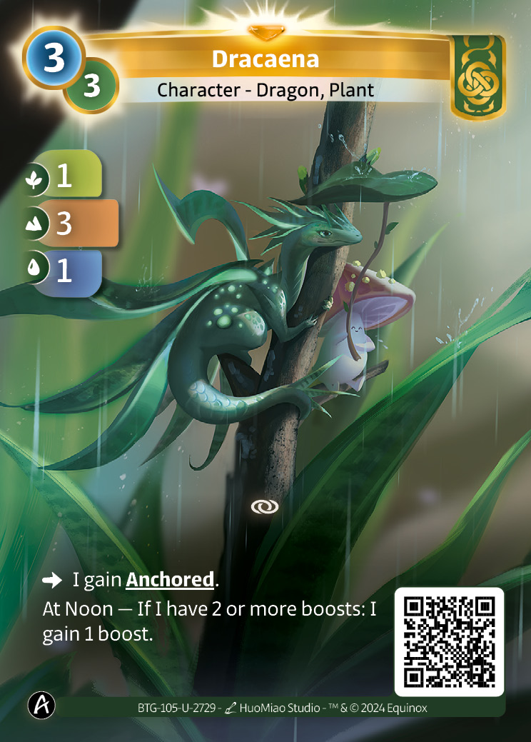 Dracaena