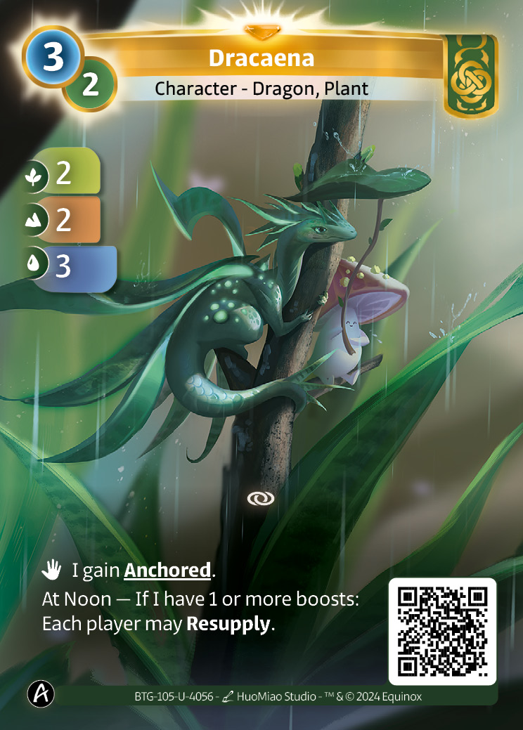 Dracaena